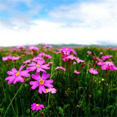 AG九游会下载手机版截图